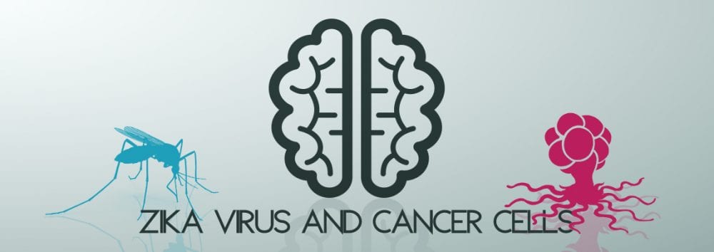 Zika Virus and Cancer Cells