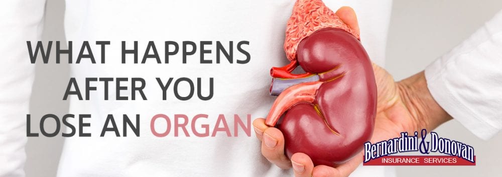 What Happens After You Lose an Organ