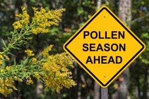 Track the pollen