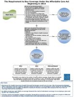 Individual-Mandate-flowchart